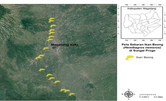 Gambar 3. Peta Zonasi Sumberdaya Ikan Beong (H. nemurus) di Sungai Progo