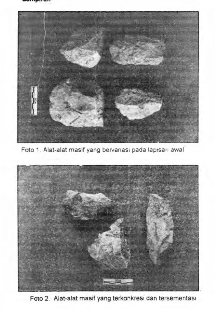 Foto  1.  Alat-alat  masif  yang  bervanas1 pada  lap1sari  awal 
