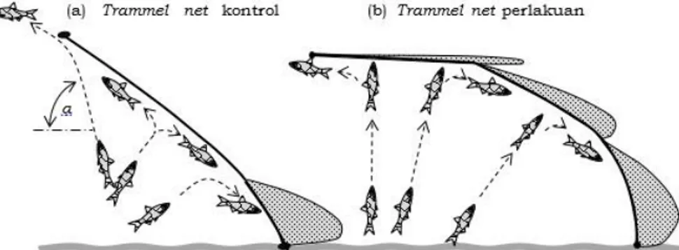 Gambar 6 menunjukkan sebaran jumlah  hasil  tangkapan  ikan  berdasarkan  posisi  pada trammel net