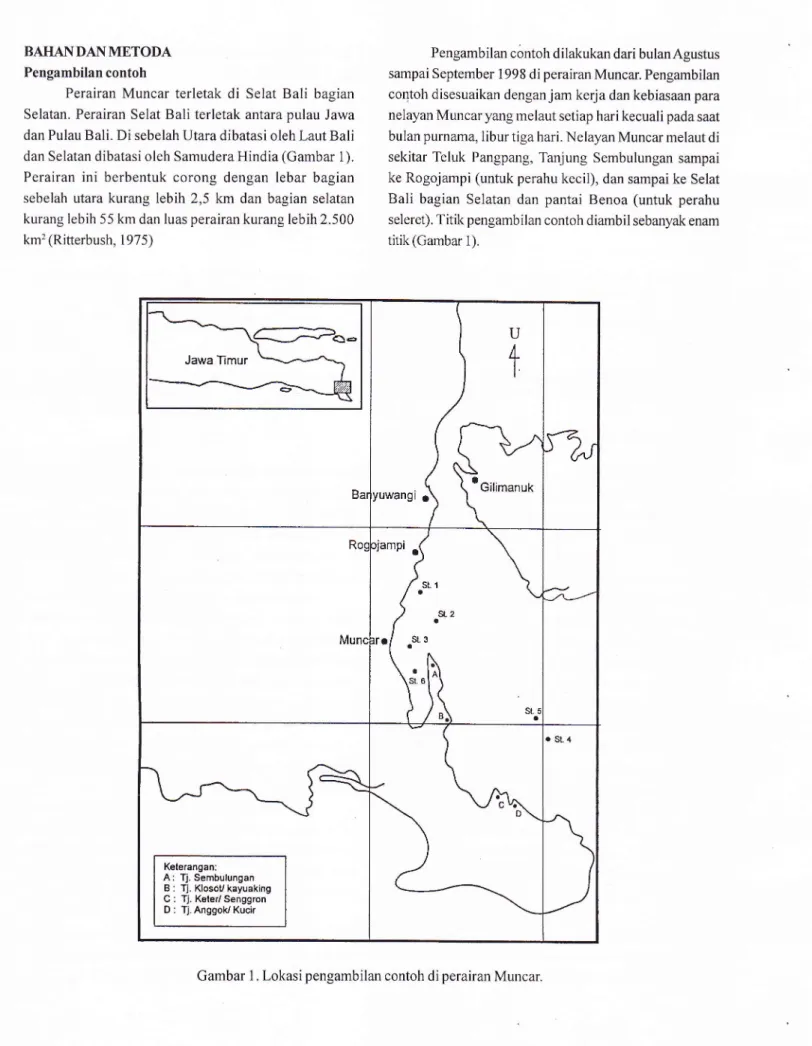 Gambar  l.  Lokasi  pengambilan  contoh  di perairan  Muncar.