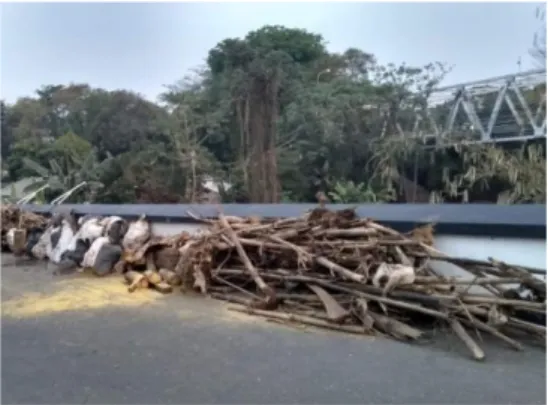 Gambar 1. Tumpukan kayu dan bambu yang  dikumpulkan dari aliran sungai Ciliwung 