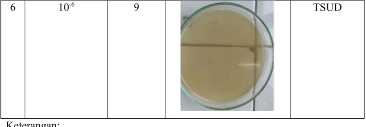 Tabel 2.   Pengamatan Hasil Perhitungan Angka Lempeng Koloni Bakteri Pada Sayuran Selada Hijau Matang