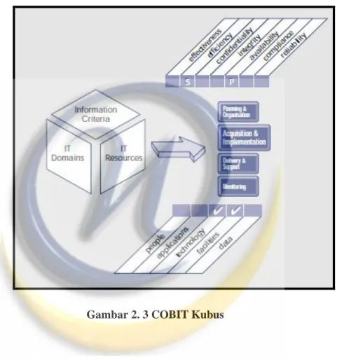Gambar 2. 3 COBIT Kubus 