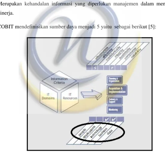 Gambar II-5 Sumber Daya COBIT 