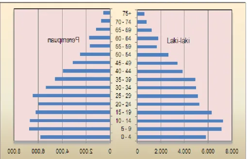 Grafik 5. Komposisi Jumlah Penduduk Kabupaten Nagan Raya  Menurut Kelompok Umur dan Jenis Kelamin Tahun 2009 