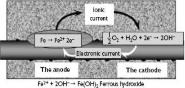 Gambar 1.  Anoda,  katoda,  reaksi  oksidasi  dan  hidrasi korosi tulangan 