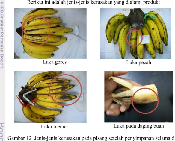 Gambar 12  Jenis-jenis kerusakan pada pisang setelah penyimpanan selama 6 hari  pada suhu ruang 