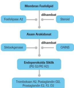 Gambar 1. Sintesis Prostaglandin