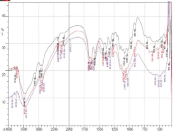 Gambar 2. Spektrum FTIR kitin (hitam),  kitosan (ungu) hasil sintesisi dan kitosan  komersil (merah) 