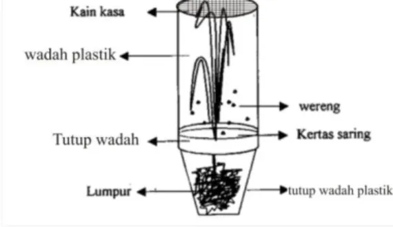 Gambar 1.  Skema percobaan uji penghambatan daya makan wereng batang  coklat (Marlina, 2003) 