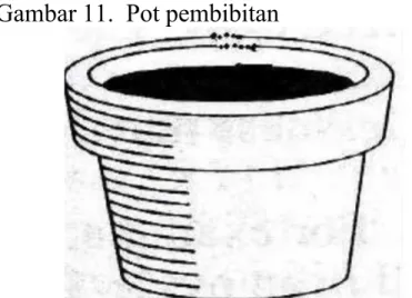 Gambar 11.  Pot pembibitan