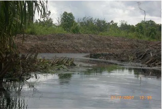 Gambar II-4.  Pembuatan  kanal  saluran  drainase ke Sungai  Mantangai pada 