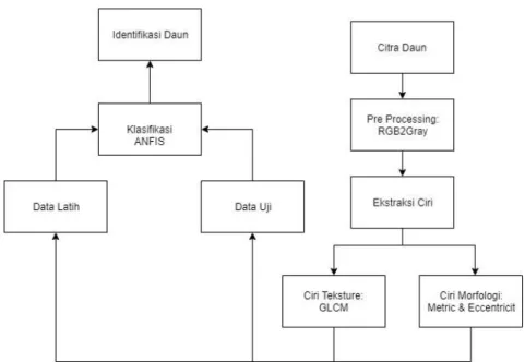 Gambar 5. Diagram metodologi identifikasi Daun 