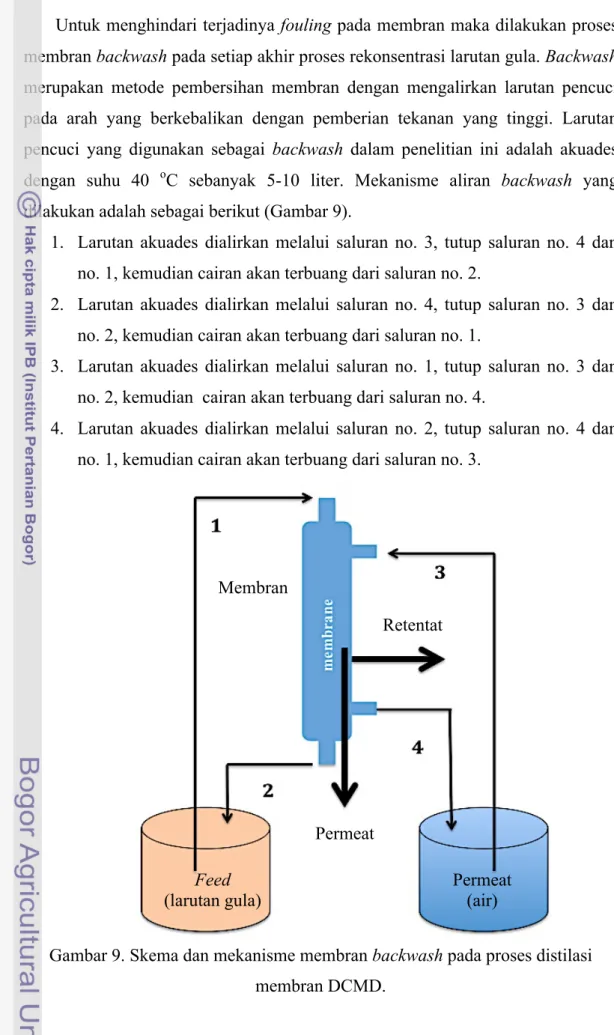 Gambar 9. Skema dan mekanisme membran backwash pada proses distilasi  membran DCMD. 