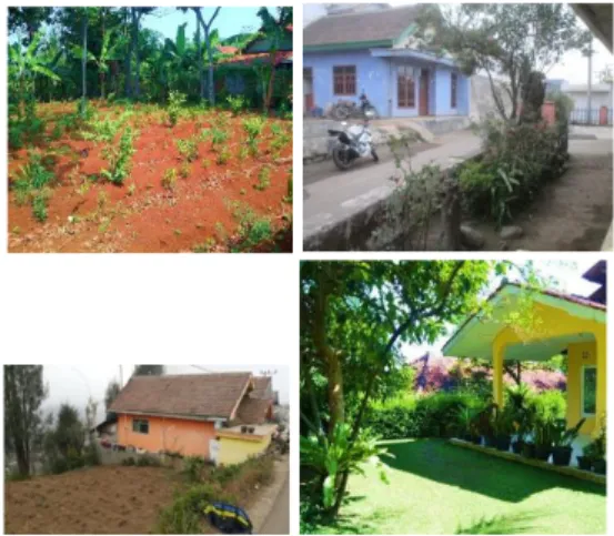 Gambar 6. Pemanfaatan pekarangan di Desa Ngadas  dan Ranu Pani (Peneliti, 2016)