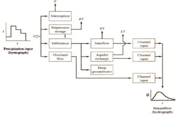 Gambar 3. Distribusi input presipitasi dalam siklus hidrologi  Siklus Karbon (C)  