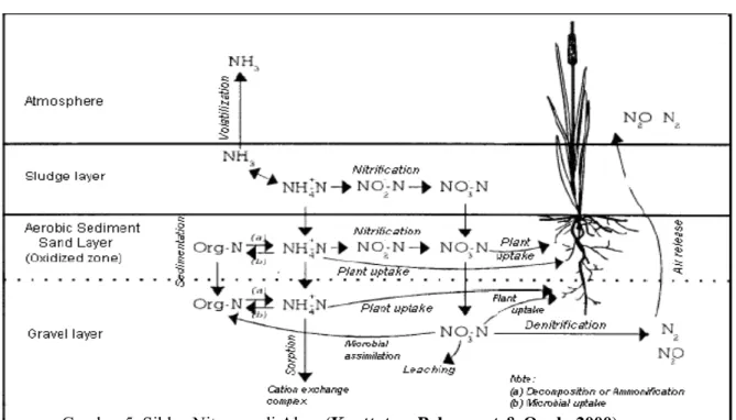 Gambar 5. Siklus Nitrogen di Alam (Koottatep, Polprasert &amp; Oanh, 2000) 