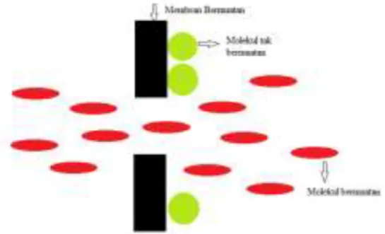 Gambar 3. Ilustrasi Separasi dengan membran bermuatan  (diadaptasi dari [7]) 
