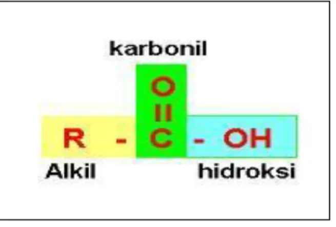 Gambar 2.1. Gugus pada asam karboksilat 