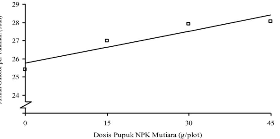 Tabel  4  menunjukkan  bahwa  pada  perlakuan  pemberian  pupuk  NPK  Mutiara, jumlah ginofor per tanaman  terbanyak terdapat pada perlakuan N 3