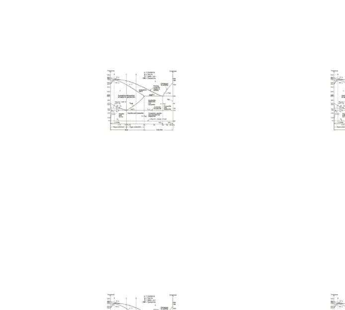 Diagram Fasa Fe-Fe3C sangatlah penting, khususnya dalam proses perlakuan panas, diagram ini menjadi dasar atau pedoman untuk mengetahui fasa apa yang akan terbentuk pada saat kita melakukan pemanasan