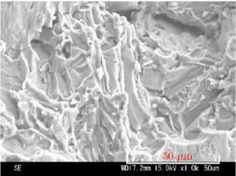 Gambar D. Struktur mikro coran Al menggunakan cetakan pasir 