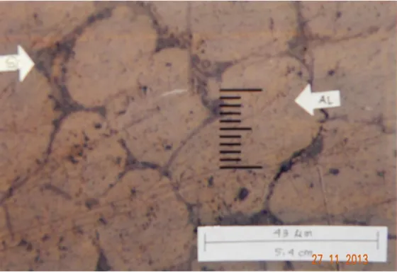 Gambar F. Foto struktur mikro coran lug paduan Aluminium pembesaran 500 kali 