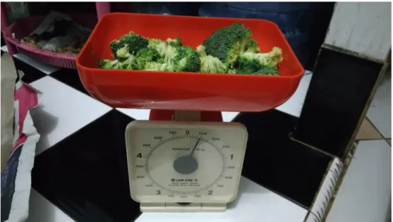 Gambar 1. Pengukuran brokoli 