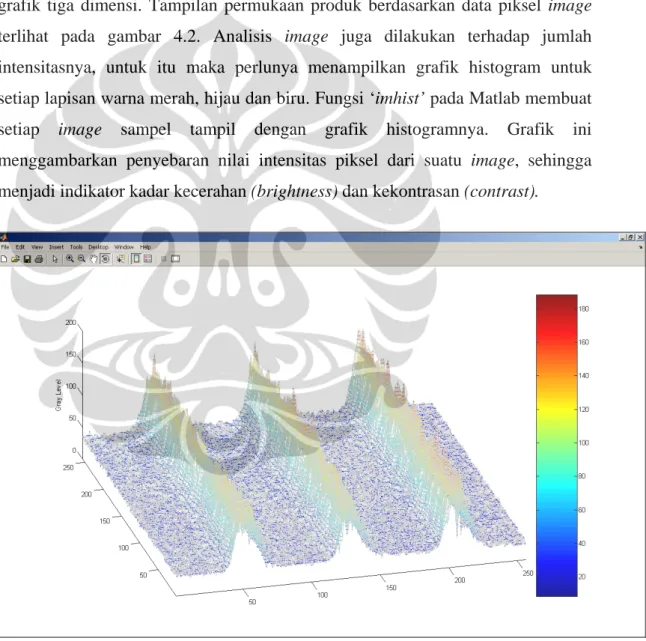Gambar 4.2 Tampilan grafik image 3D pelat kalibrator 2,9  μ m 
