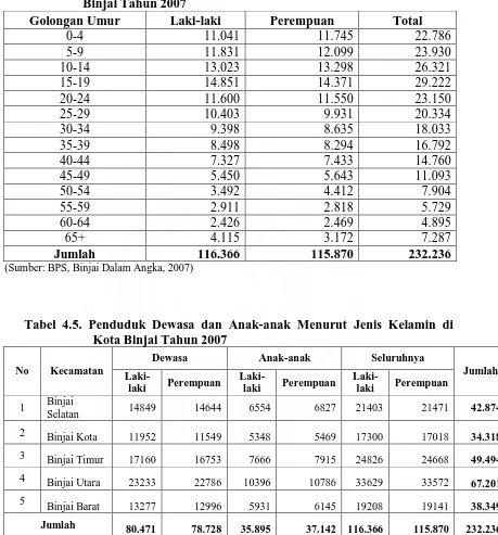 Tabel 4.5. Penduduk Dewasa dan Anak-anak Menurut Jenis Kelamin di   Kota Binjai Tahun 2007 
