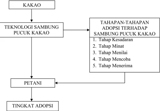 Gambar  1  :  Skema  Kerangka  Pemikiran  Tingkat  Adopsi  Petani  Terhadap  Teknologi Sambung Pucuk Tanaman Kakao.