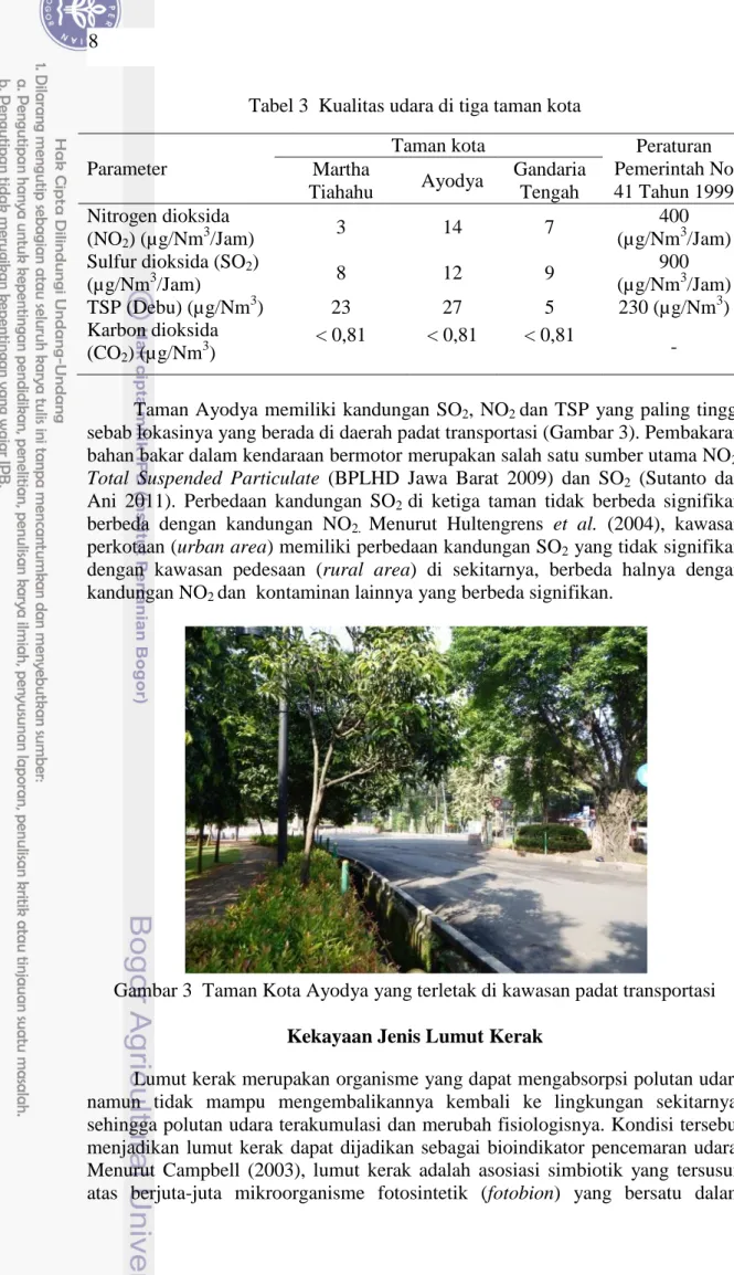 Gambar 3  Taman Kota Ayodya yang terletak di kawasan padat transportasi Kekayaan Jenis Lumut Kerak 