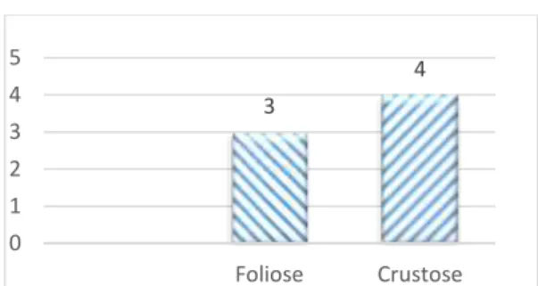 Gambar 1. Diagram perbandingan jumlah jenis  lumut kerak yang ditemukan berdasarkan tipe 