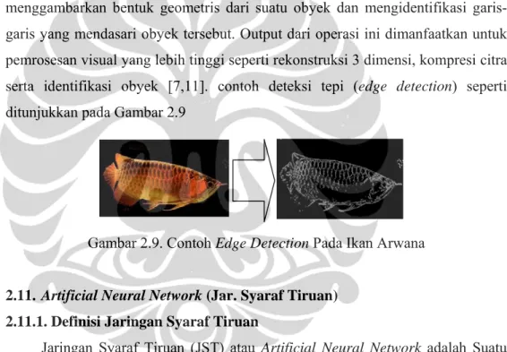Gambar 2.9. Contoh Edge Detection Pada Ikan Arwana 