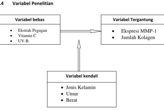 Gambar 4.2  Klasifikasi Variabel 
