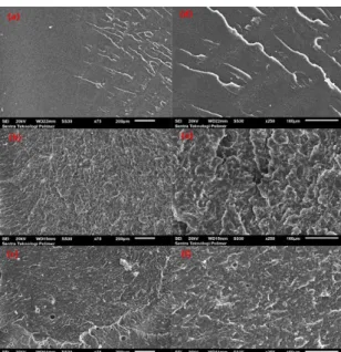 Gambar 4. Foto struktur mikro permukaan patahan pada beberapa spesimen dan variasi perbesaran antara lain : a) Pristine Epoxy 75X; b) HH 10%wt 75X; c) OH 10%wt 75X; d) Pristine Epoxy 250X; e) HH 10%wt