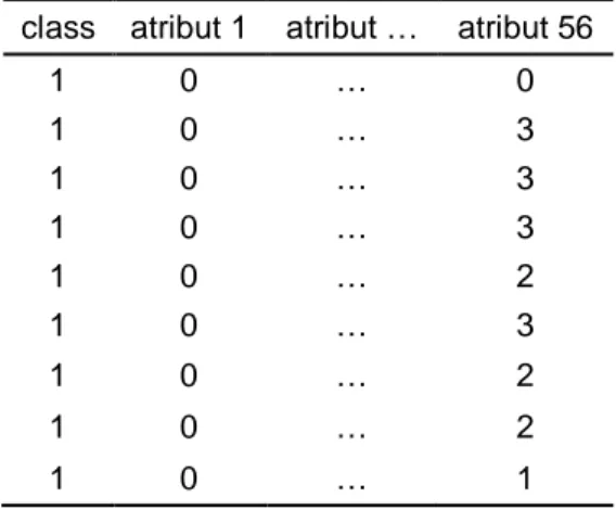 Tabel 1. Dataset Kanker Paru  class  atribut 1  atribut …  atribut 56 
