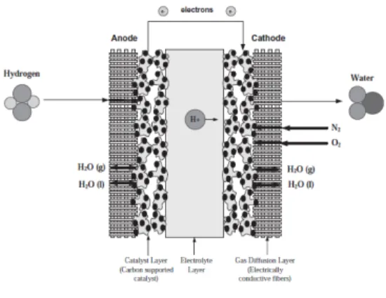 Tabel  3.  Sifat  kertas  karbon  yang  digunakan  komersial  sebagai  substrat  untuk elektroda sel bahan bakar PEM   Kertas  karbon  Ketebalan  (mm)  Sifat  menyer ap (%)  Massa  jenis(g/cm3)  Toray  TGPH  090  0.30  77  0.45  Kureha  E-715  0.35  60 to 