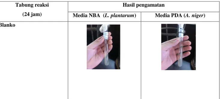 Tabel II. 1 Hasil Percobaan Inokulasi Mikroorganisme   Tabung reaksi 