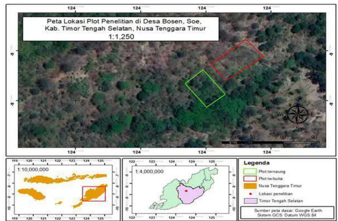 Gambar 1. Peta lokasi plot habitat alami tumbuhan kayu ules di Desa Bosen 