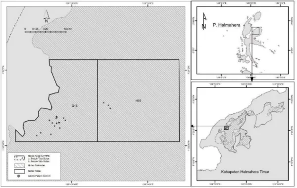 Gambar 1. Sebaran lokasi pengukuran pohon-pohon contoh di areal hutan lahan kering sekunder yang dikelola      oleh IUPHHK-HA PT Mahakarya Agra Pesona, Halmahera Timur 