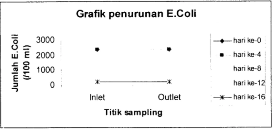 Grafik penurunan E.Coli