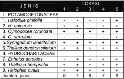 Tabel 3. Keragaman jenis lamun di lokasi penelitian Wakatobi (klasifikasi menurut Den Hartog, 1970; 