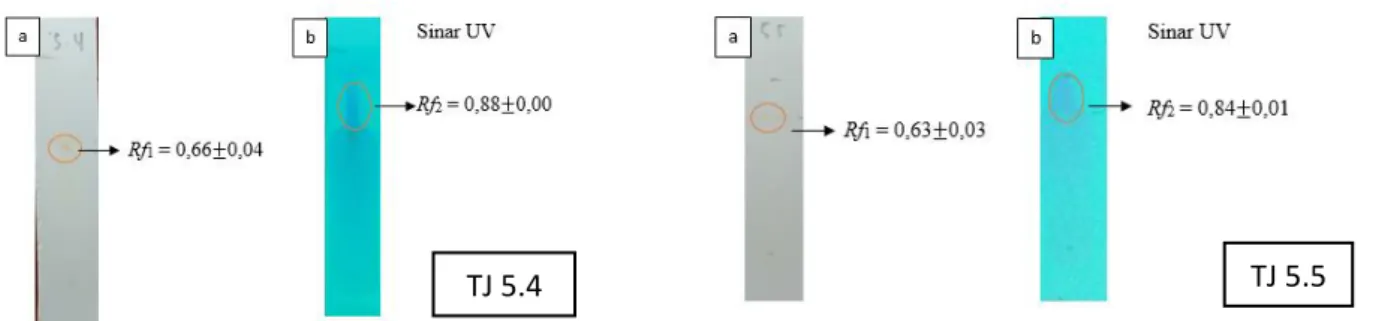 Gambar 3.  Profil pemisahan senyawa sampel dengan menggunakan eluen etil asetat : kloroform  (1:9)