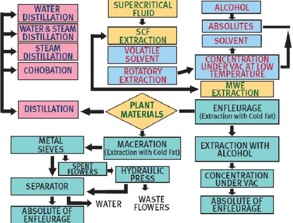 Gambar 1. Metode produksi minyak esensial dari tanaman 