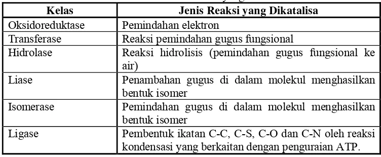 Tabel 3. Klasifikasi Enzim Berdasarkan Reaksi yang Dikatalisis 
