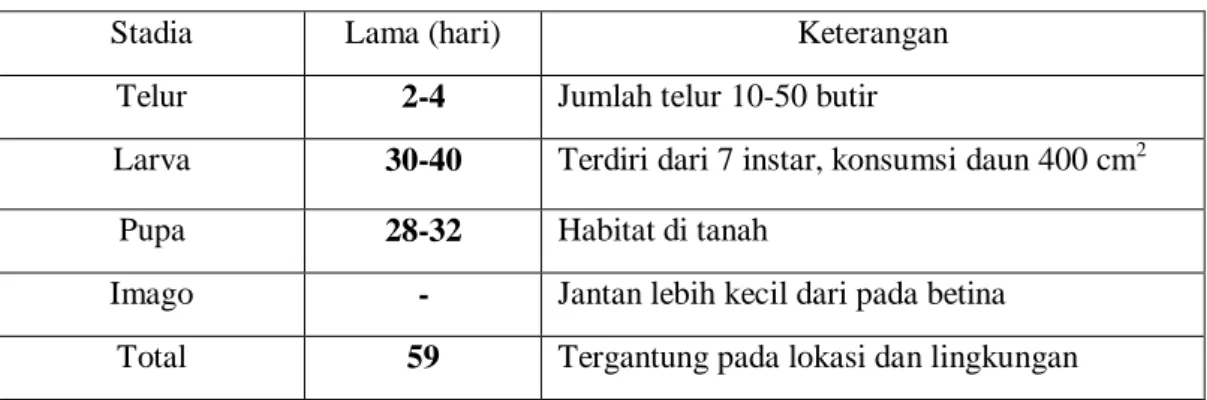 Tabel 2.1 Siklus hidup hama ulat api (P. lepida) 