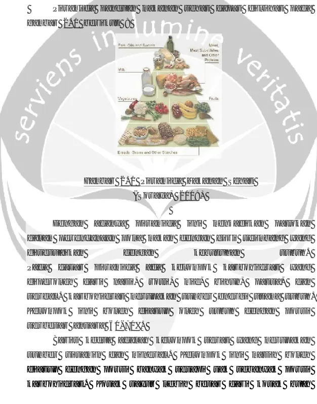 Gambar 2.1 Piramida Makanan Sehat  (Soraya, 2009) 