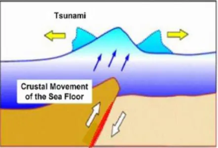 Gambar 2.2.  Proses Deformasi Dasar Laut Arah Vertikal (Sesar Naik atau  Turun) Berdasarkan Teori Elastisitas Okada ( JMA, 2007) 