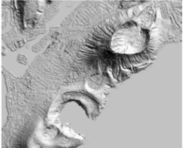 Gambar 2.5. Contoh DSM dengan Relief Berbayang Menunjukkan Teluk  Hanauma dan Kawah Koko (INTERMAP, 2007) 